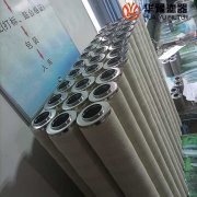 電廠聚結(jié)分離濾芯 HD3614539 華豫